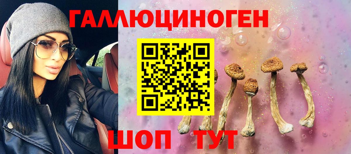Бахчисарай  Псилоцибиновые грибы прущие грибы  Вход с VPN 
